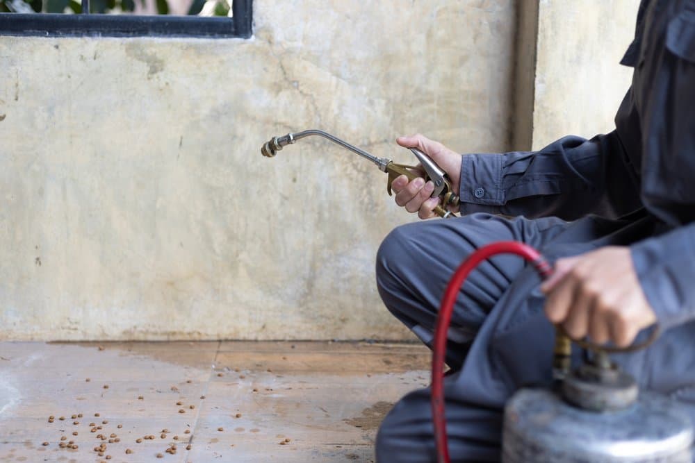 Technician in grey overalls spraying along the base of an outside wall, with small granules scattered on the floor