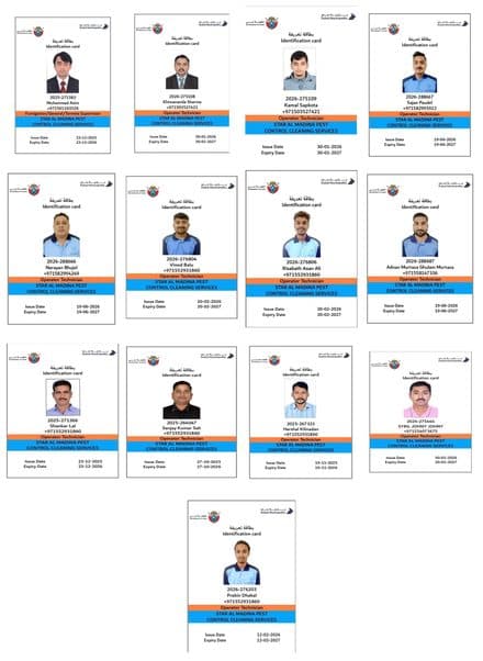 Dubai Municipality identification cards for Star Al Madina staff, each with a photo, card number, name, role and issue and expiry dates