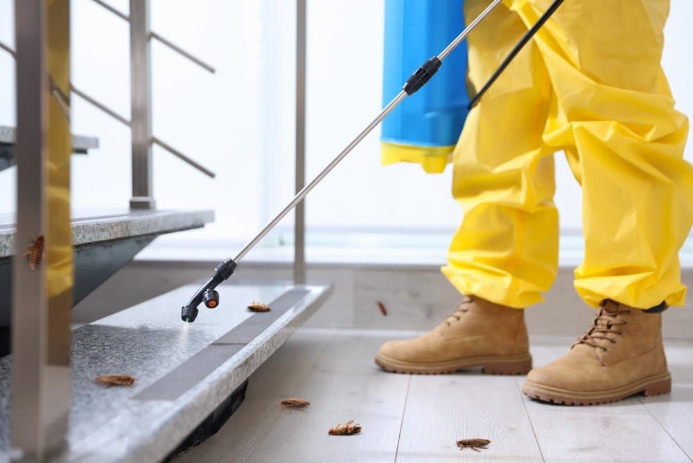 Technician in a yellow protective suit spraying cockroaches on the floor beneath a granite-topped counter