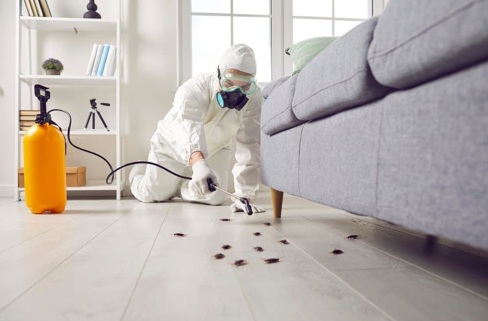 Technician in a white protective suit and respirator spraying cockroaches on a living-room floor beside a sofa