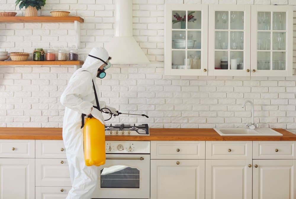 Technician in a white protective suit and respirator spraying along a kitchen worktop beside the hob