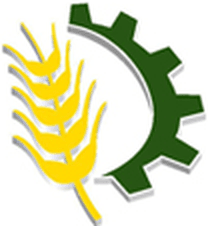 NFF