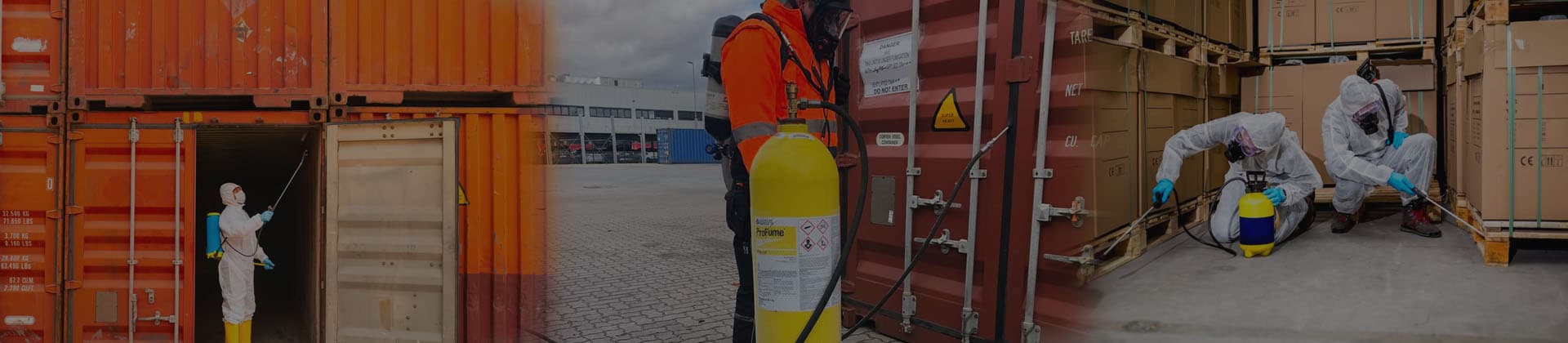 Container consignment being prepared for export fumigation