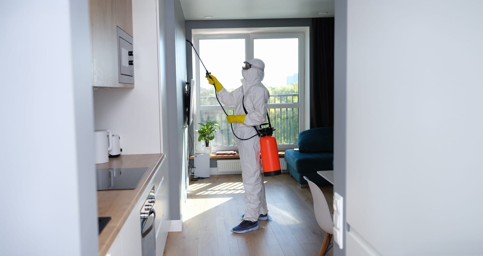 Technician in a white protective suit, goggles and gloves spraying high along a wall in a bright apartment, carrying an orange pressure sprayer