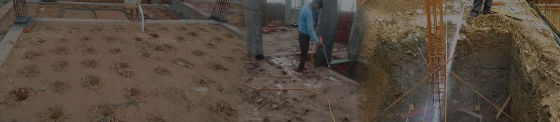 Termite inspection of timber and wall base during a property survey